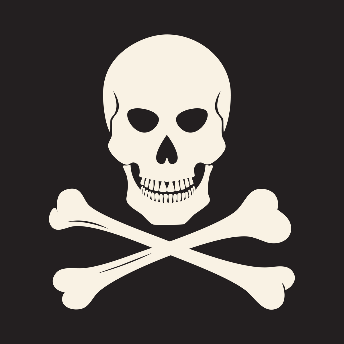 Full Skull Jolly Roger Pirate Flag
