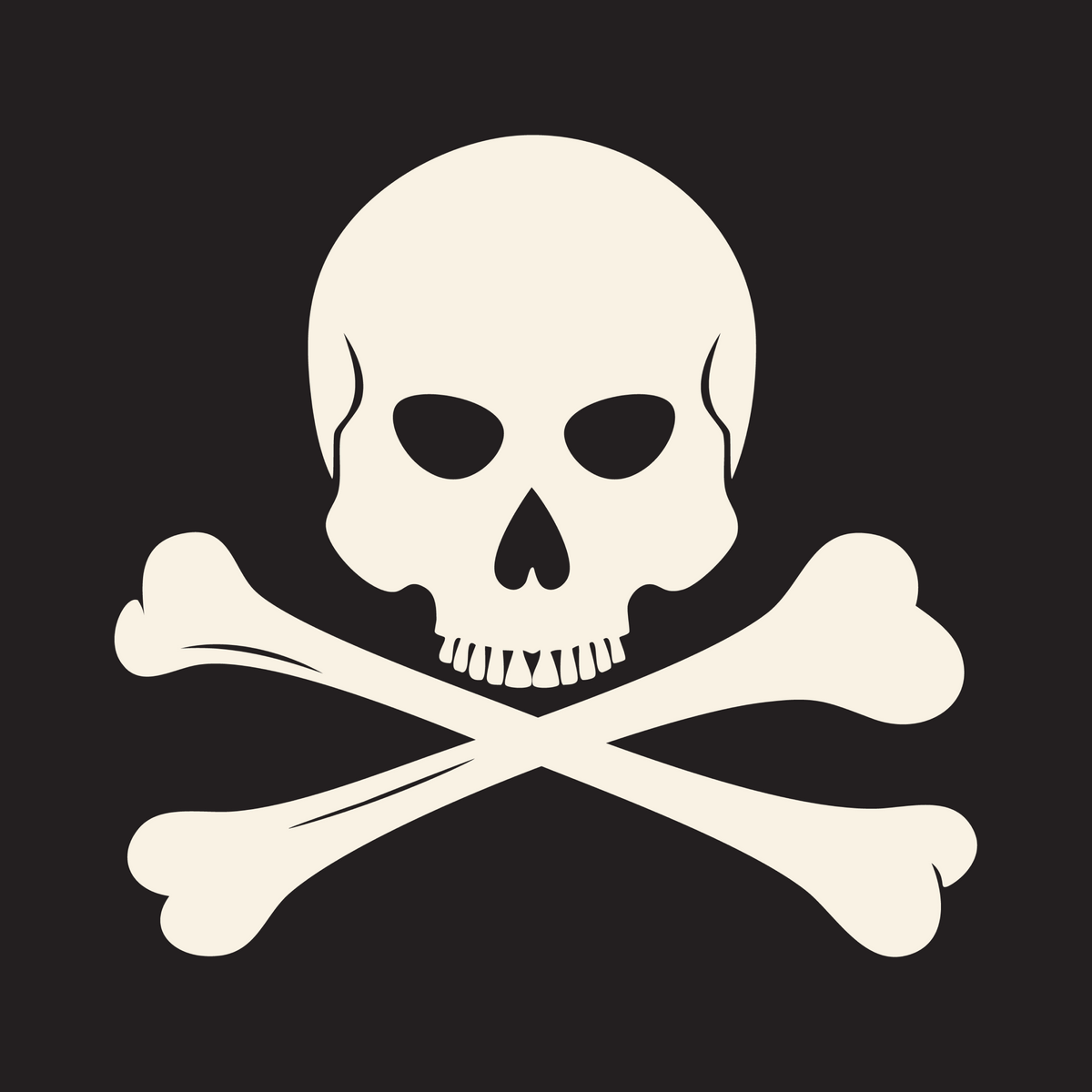 Jolly Roger Pirate Flag